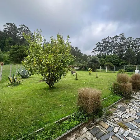Adosada 2 Viveiro